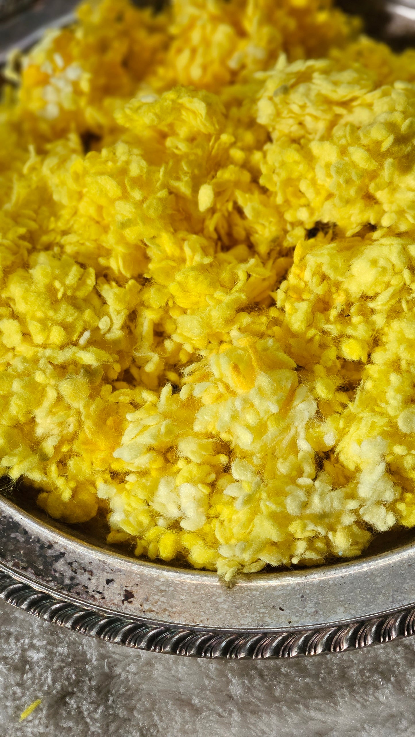 DAFFODIL - rare hand-dyed cotton nepps for fiber blending, felting, and papermaking - 1 oz | 28 g