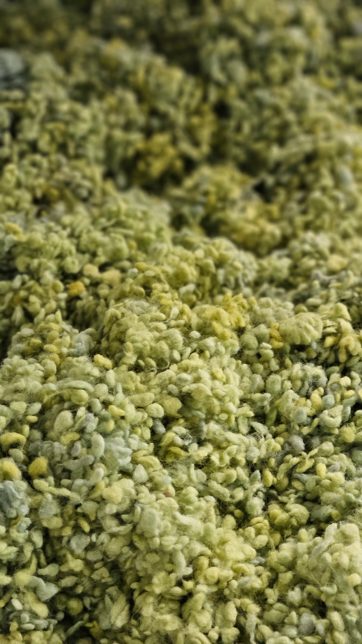 SWEET PEAS - rare hand-dyed cotton nepps for fiber blending, felting, and papermaking - 1 oz | 28 g