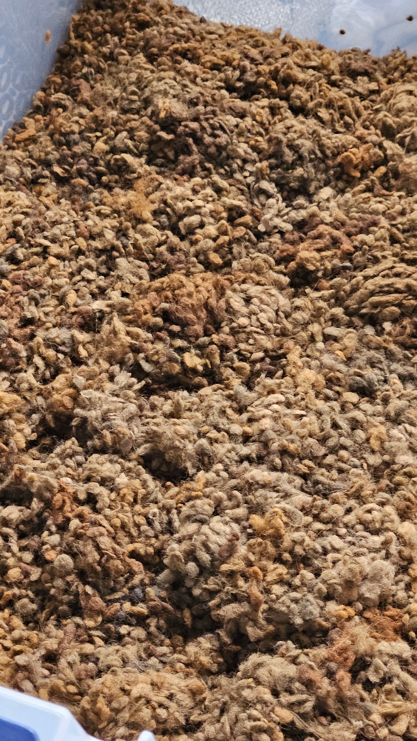 CINNAMON - rare hand-dyed cotton nepps for fiber blending, felting, and papermaking - 1 oz | 28 g