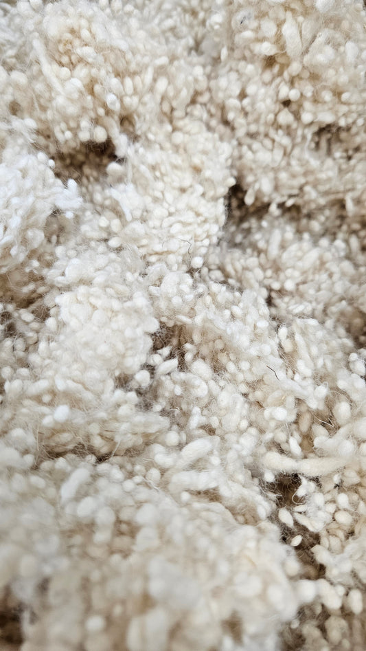 NATURAL NEPPS - undyed fine wool effects texture for blending and felting - 4 oz | 113 g