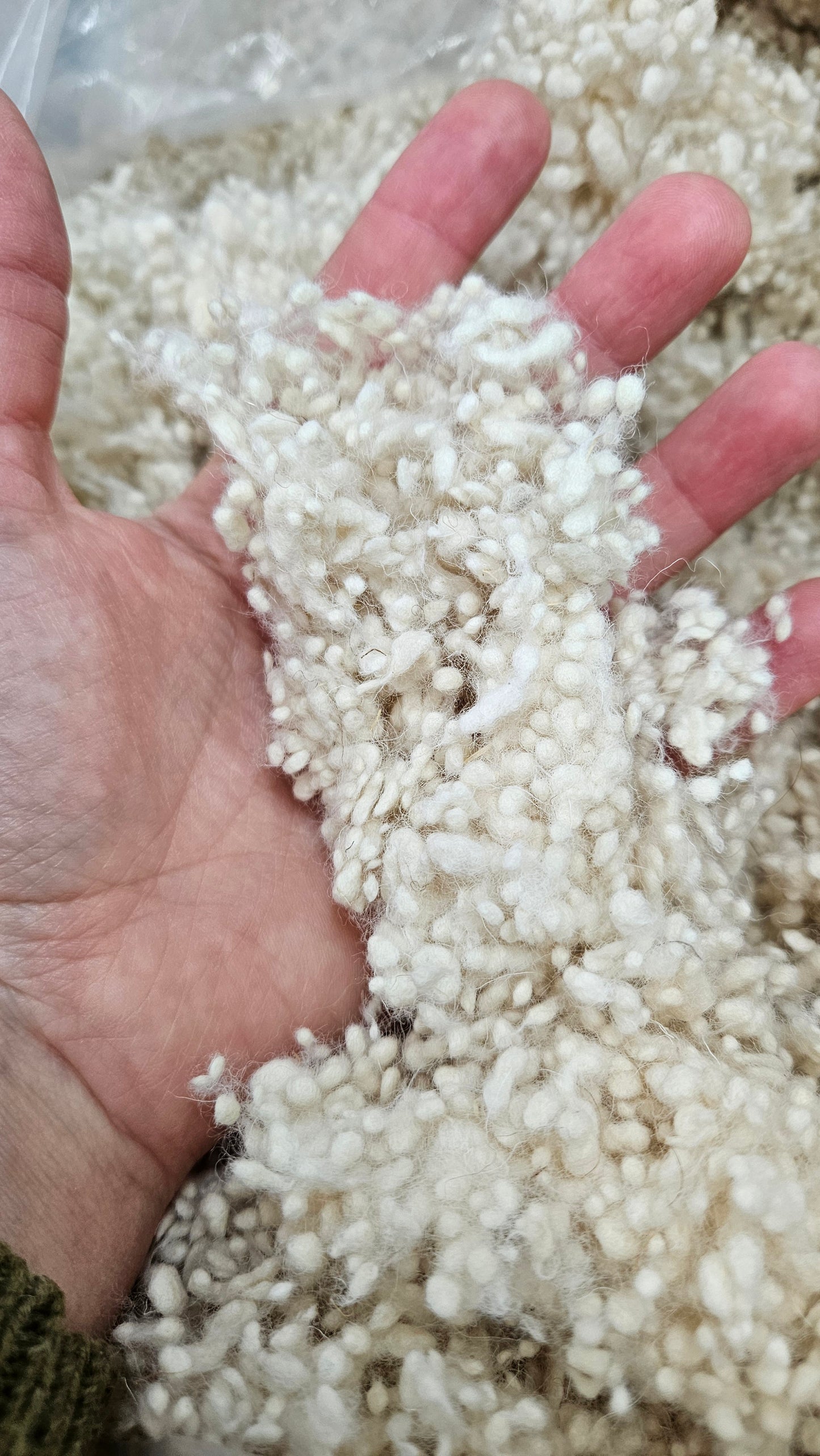 NATURAL NEPPS - undyed fine wool effects texture for blending and felting - 4 oz | 113 g