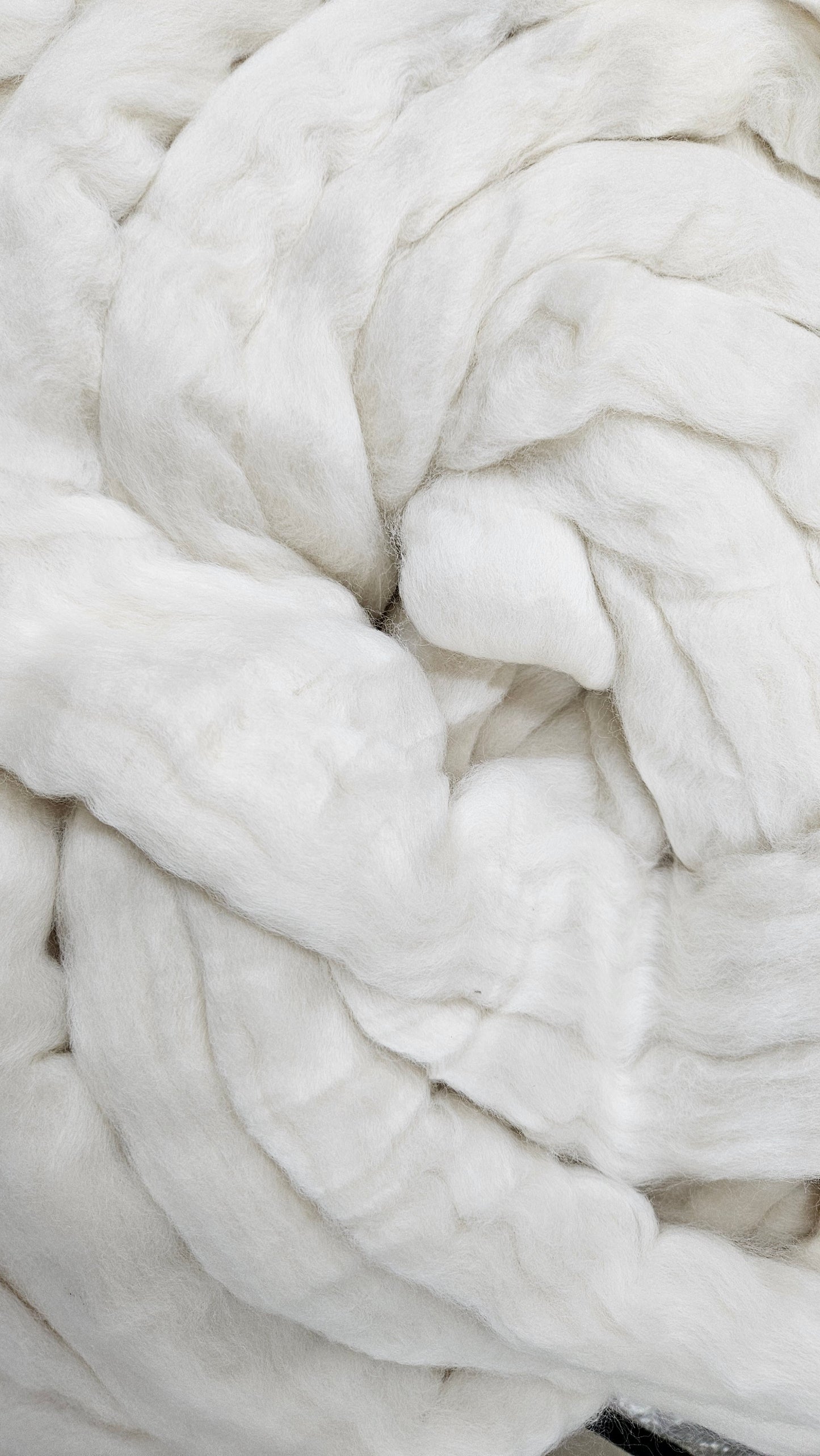 ORGANIC MERINO - undyed natural wool top for spinning, blending and felting - 6 oz | 170 g
