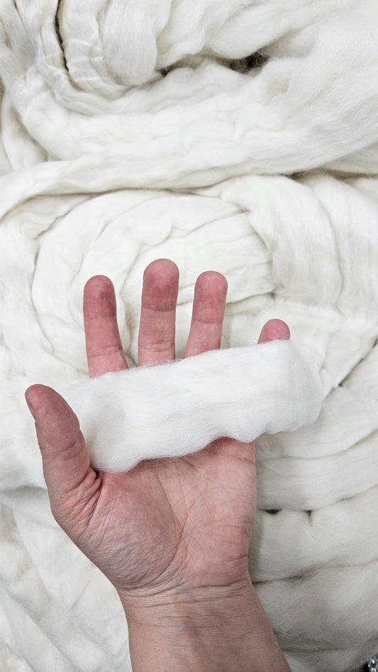 ORGANIC MERINO - undyed natural wool top for spinning, blending and felting - 6 oz | 170 g