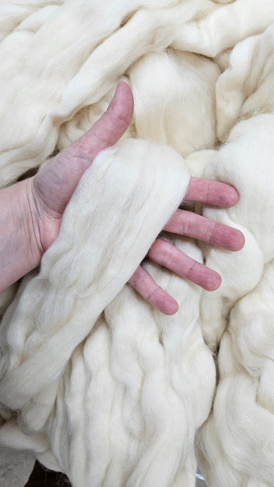 BLUE FACED LEICESTER (BFL) - undyed natural wool top for spinning, blending and felting - 6 oz | 170 g