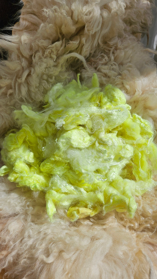 PINA COLADA - hand-dyed extra fine wool and silky bamboo dense cloud recycled mill ends - 5 oz | 142 g