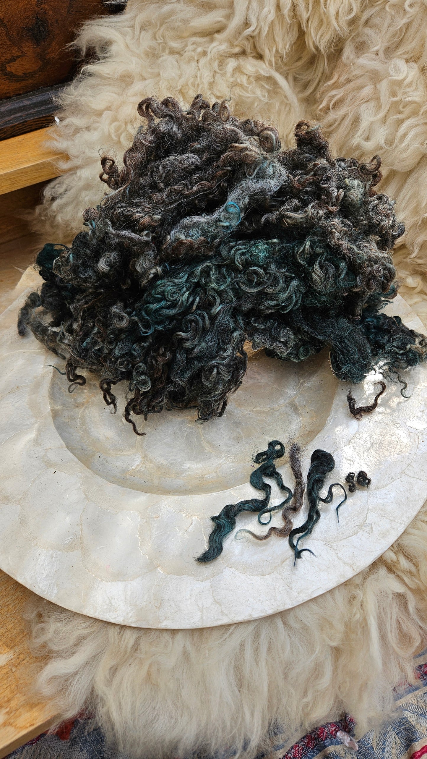 MELVILLE - hand-dyed Cotswold lamb longwool locks (SE2SE Livestock Conservancy Breed) - 5 oz | 142 g
