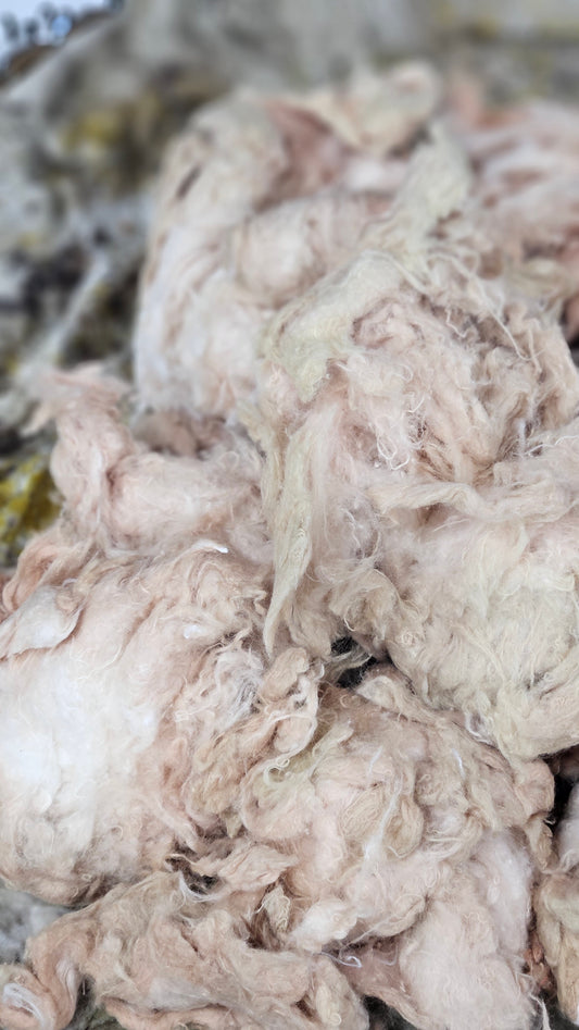 MILLET - hand-dyed recycled cotton noil "feathers" effects texture for blending, felting, and papermaking - 2.5 oz | 71 g
