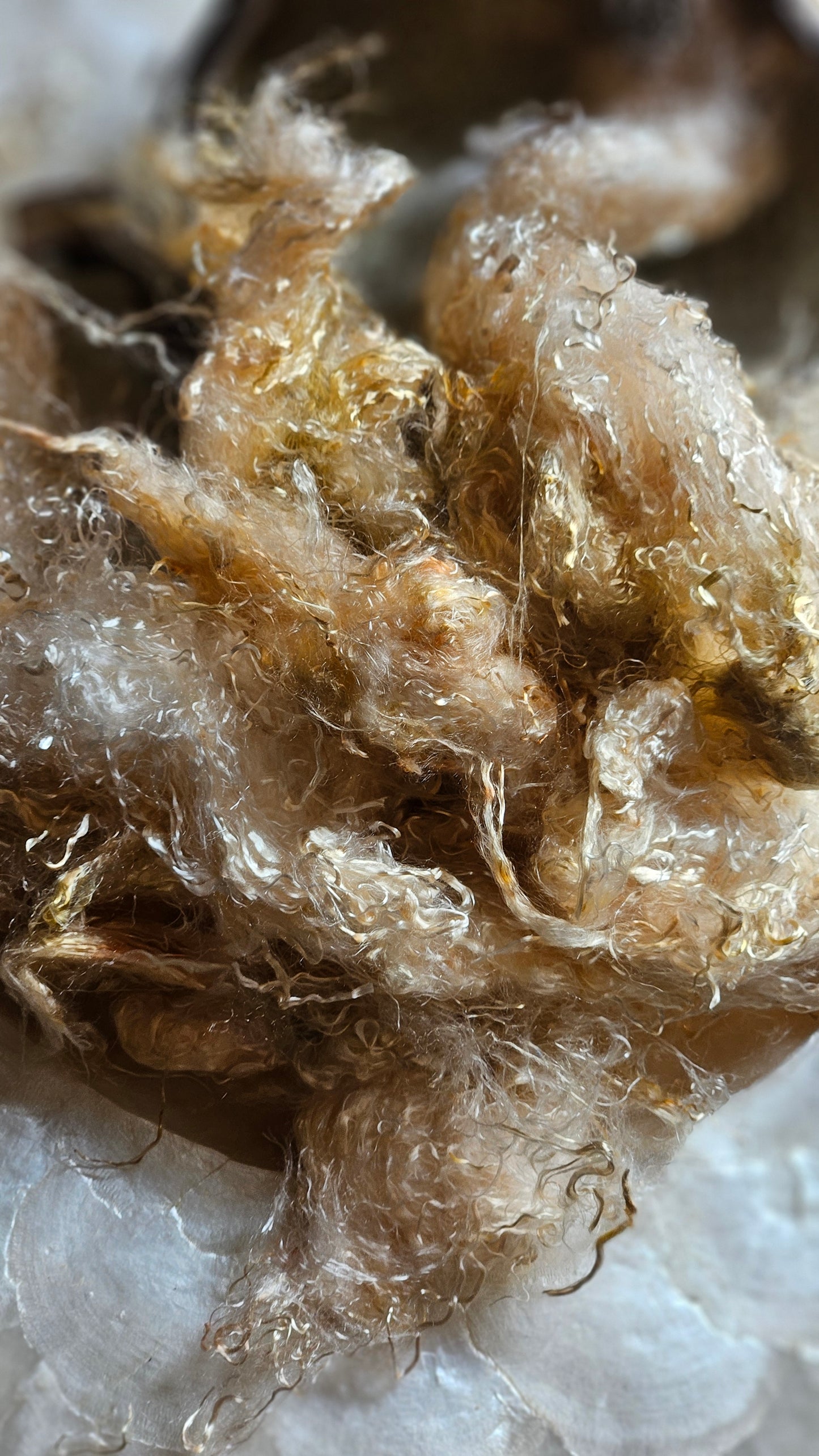 PHOSGENITE - hand-dyed eucalyptus crimp faux-silk for art yarn embellishing, fiber blending, felting, and papermaking - 2 oz | 57 g