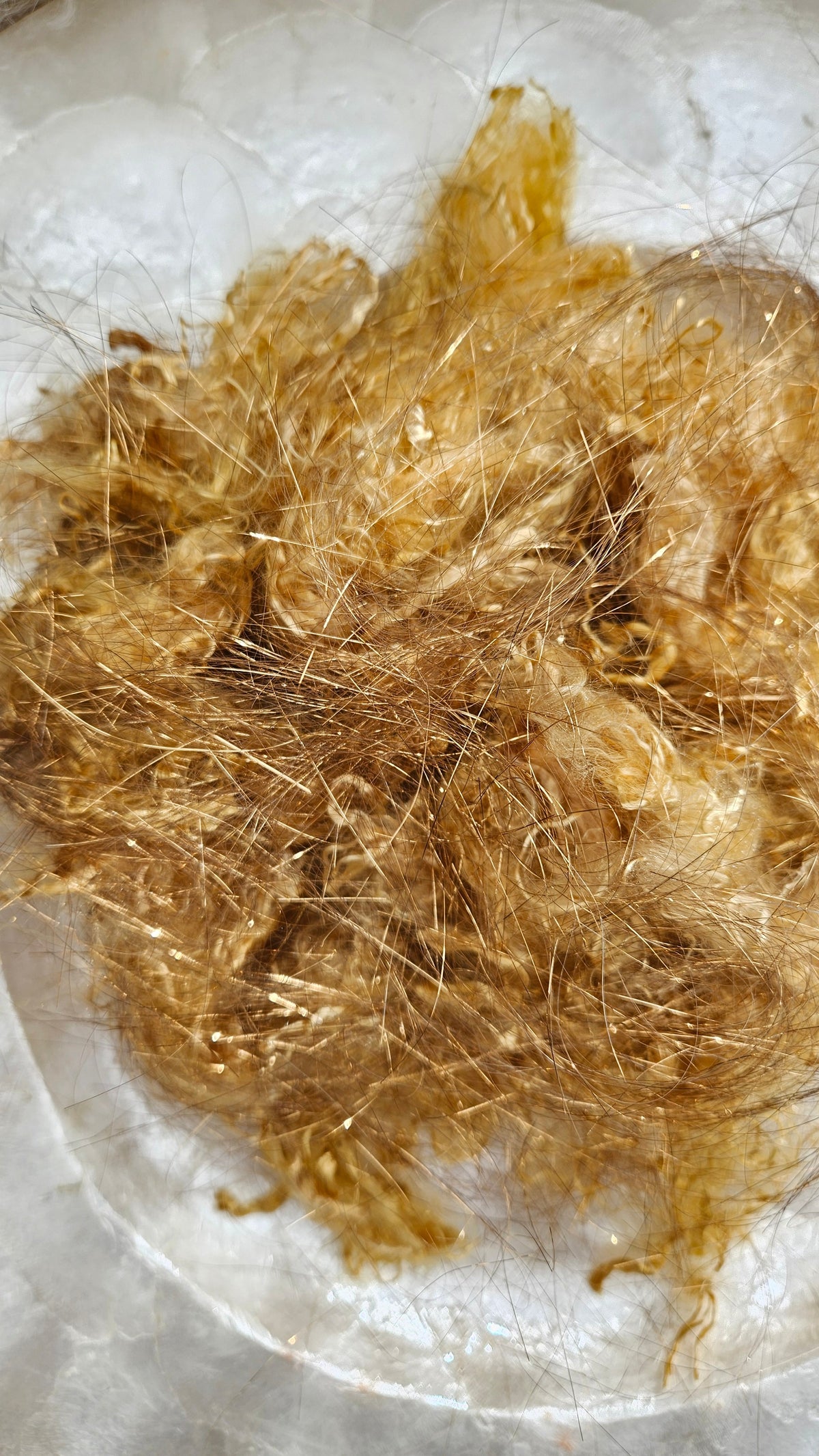 Gold Fibers