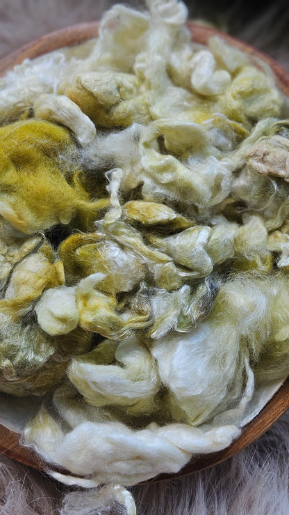 Plantain - wool & bamboo blend for spinning & felting - 5 oz |  142 g