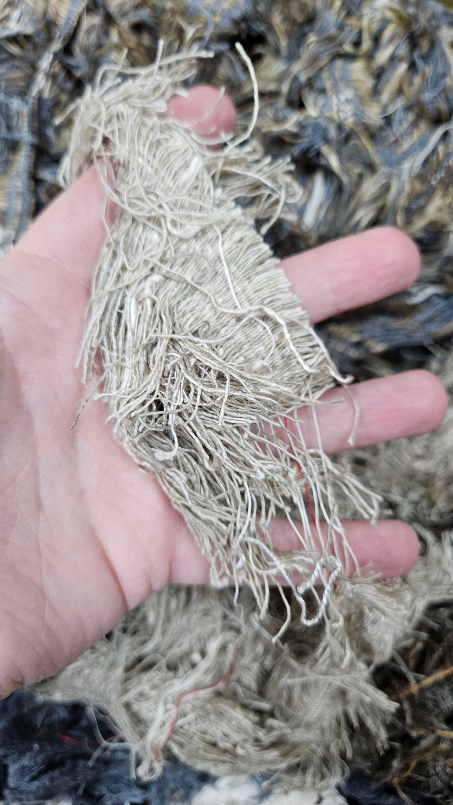 PINE FOREST - shaggy fringe ribbon for tapestry weaving and fiber art - 4.5 POUNDS
