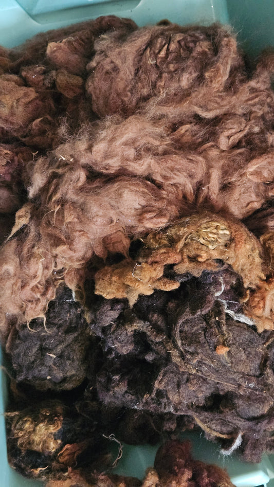 1.4 pounds Alpaca and Brown Wool Destash - Lot H