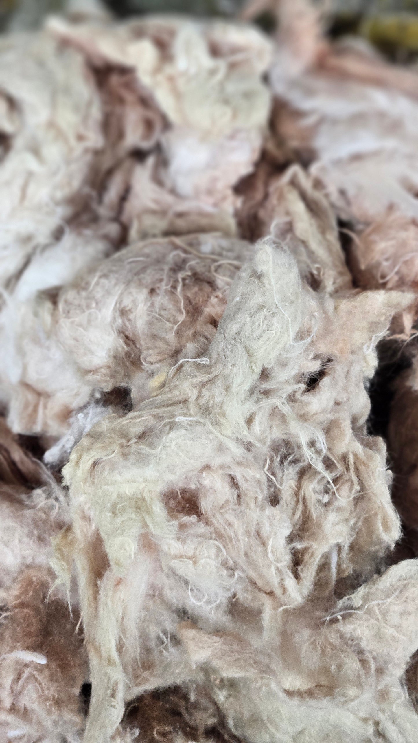 MILLET - hand-dyed recycled cotton noil "feathers" effects texture for blending, felting, and papermaking - 2.5 oz | 71 g