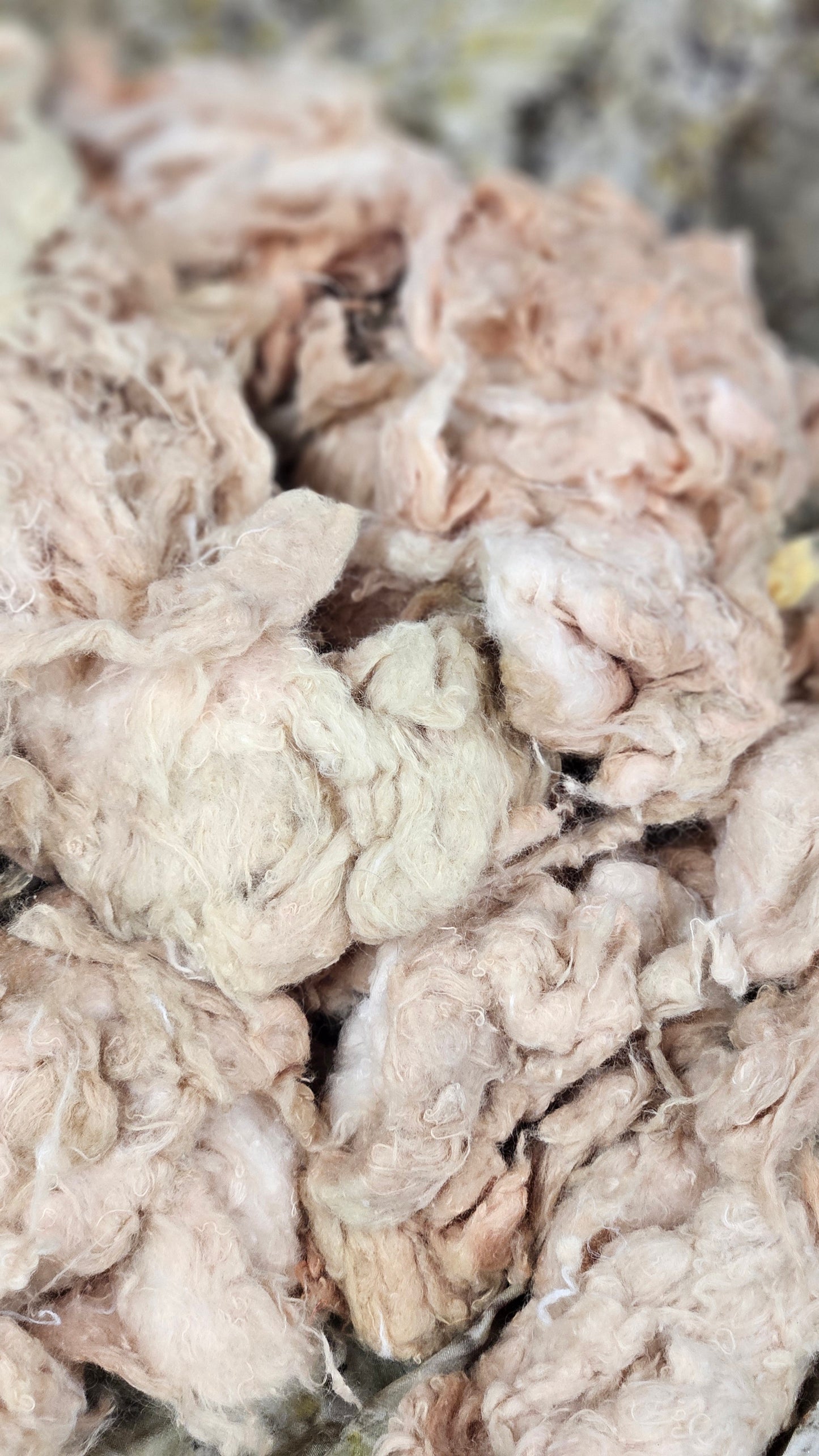 MILLET - hand-dyed recycled cotton noil "feathers" effects texture for blending, felting, and papermaking - 2.5 oz | 71 g