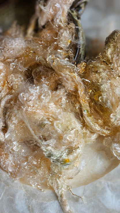 PHOSGENITE - eucalyptus crimp fiber for spinning, blending & felting - 2 oz | 57 g