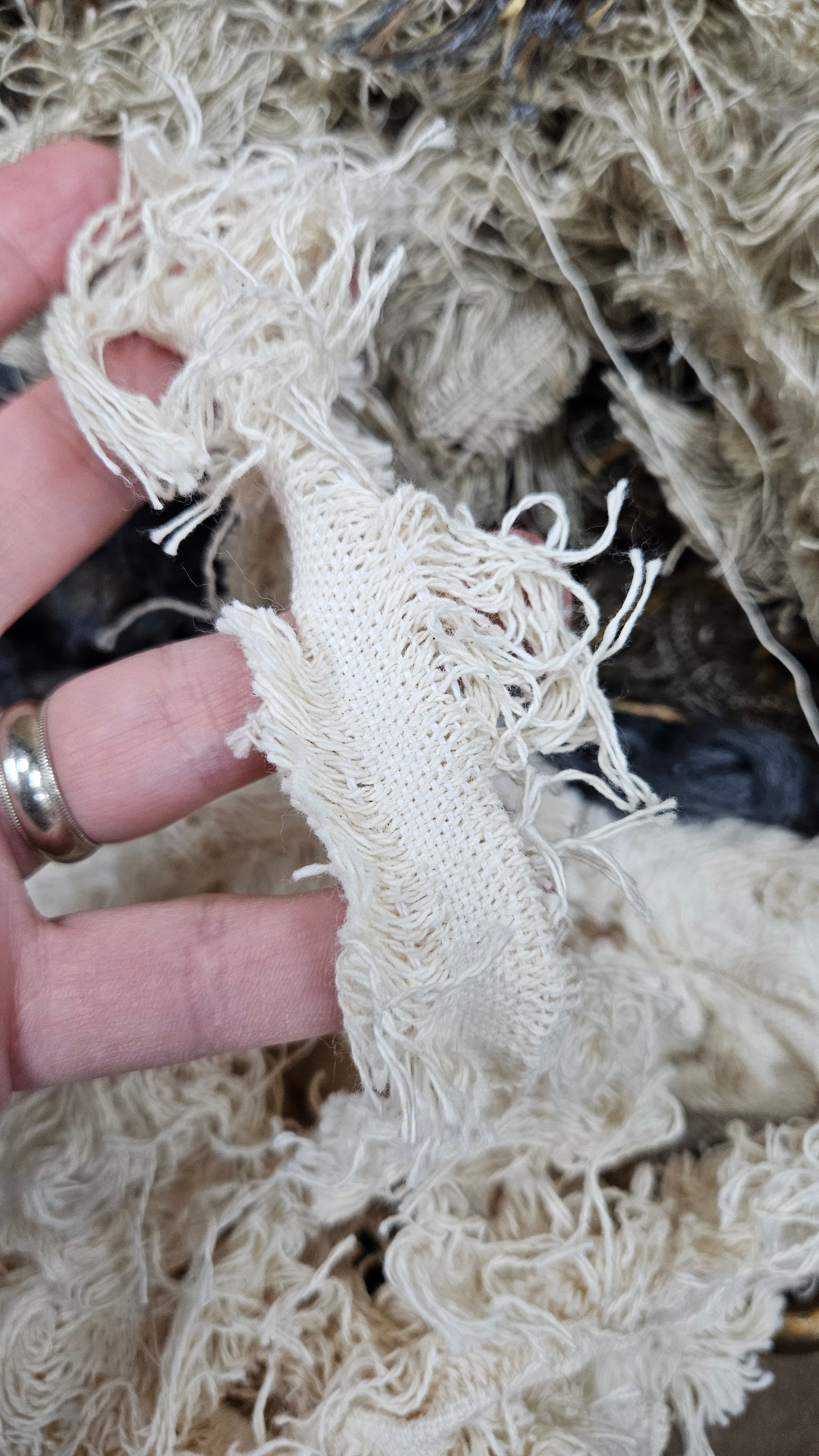 PINE FOREST - shaggy fringe ribbon for tapestry weaving and fiber art - 4.5 POUNDS