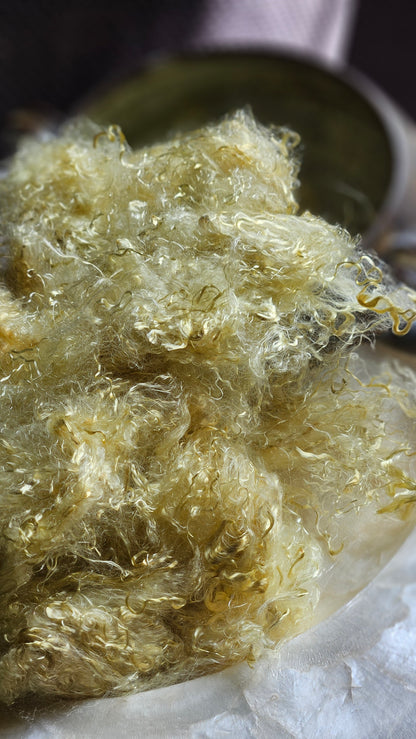 MIMETITE - eucalyptus crimp fiber for spinning, blending & felting - 2 oz | 57 g
