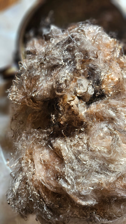 ANDALUSITE -  eucalyptus crimp fiber for spinning, blending & felting  - 2 oz | 57 g