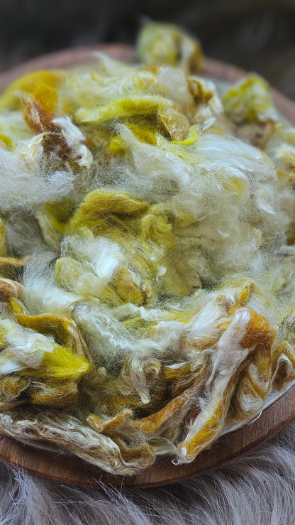Baklava - wool & bamboo blend for spinning & felting - 5 oz |  142 g