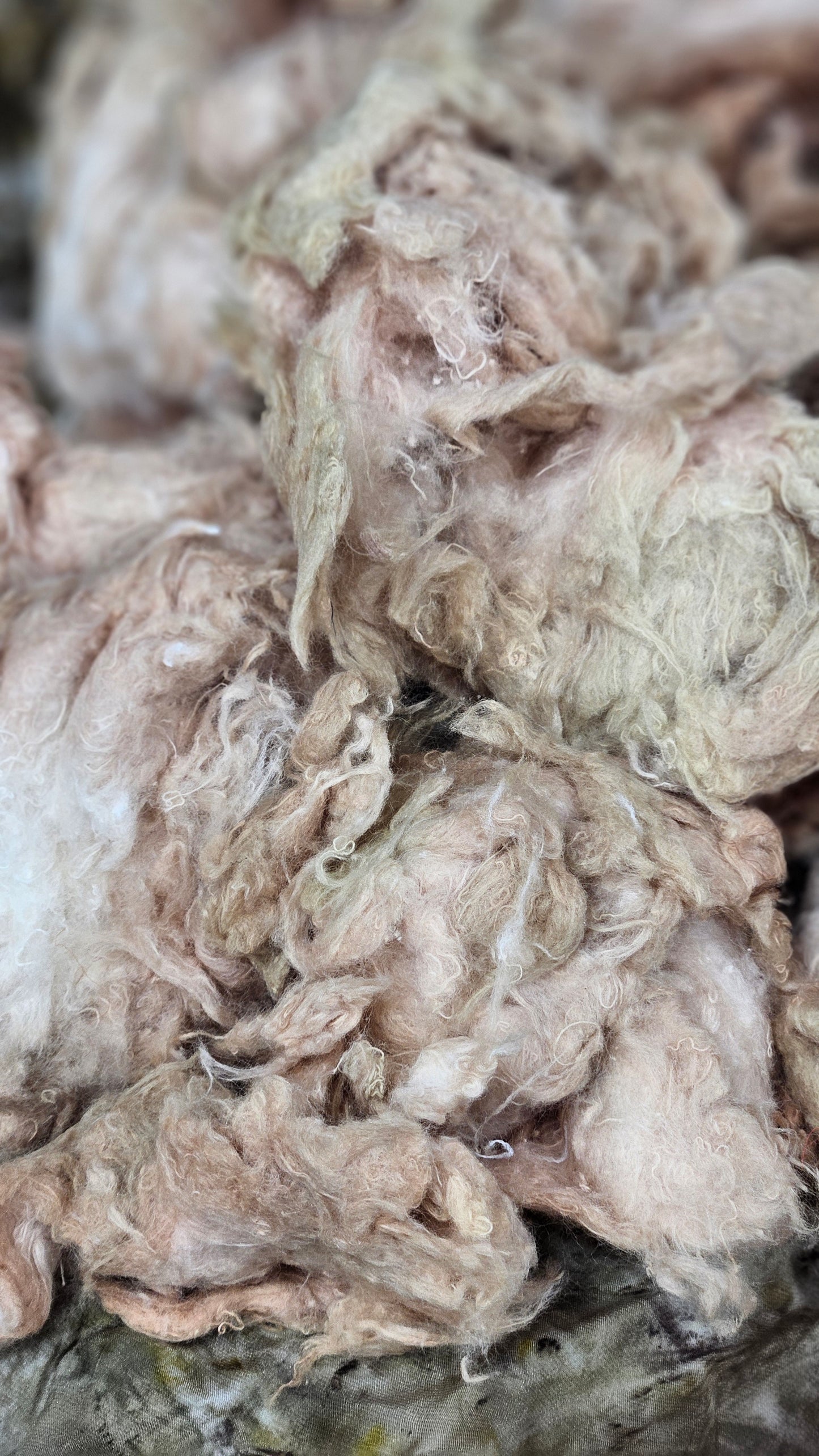 MILLET - hand-dyed recycled cotton noil "feathers" effects texture for blending, felting, and papermaking - 2.5 oz | 71 g