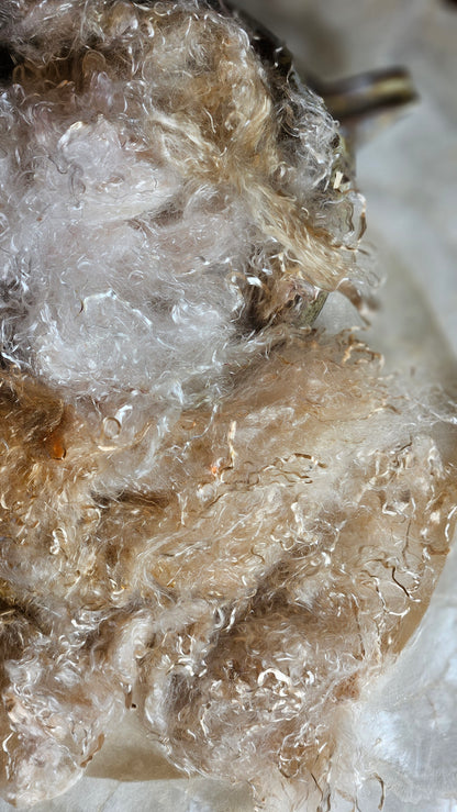 BYTOWNITE - eucalyptus crimp fiber for spinning, blending & felting - 2 oz | 57 g