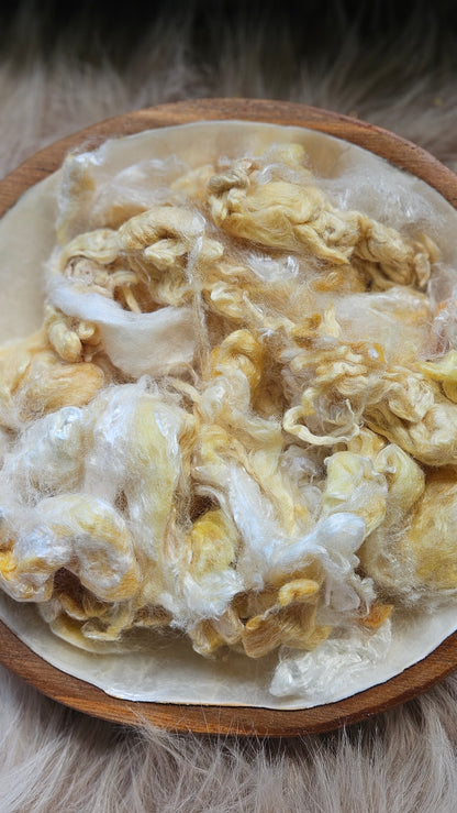 Custard - wool & bamboo blend for spinning & felting - 5 oz |  142 g