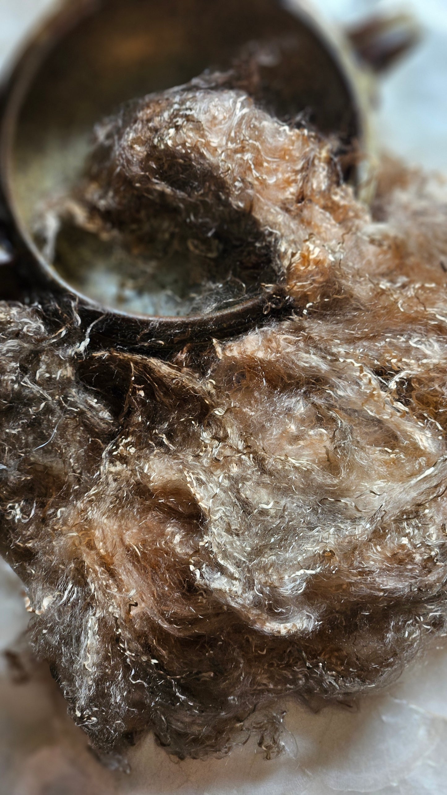 ANDALUSITE - hand-dyed eucalyptus crimp faux-silk for art yarn embellishing, fiber blending, felting, and papermaking - 2 oz | 57 g