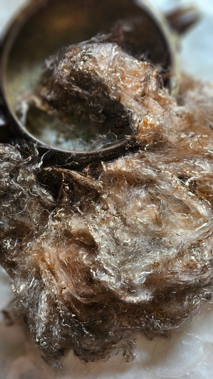 ANDALUSITE -  eucalyptus crimp fiber for spinning, blending & felting  - 2 oz | 57 g