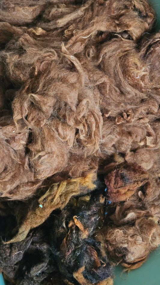 1.4 pounds Alpaca and Brown Wool Destash - Lot H