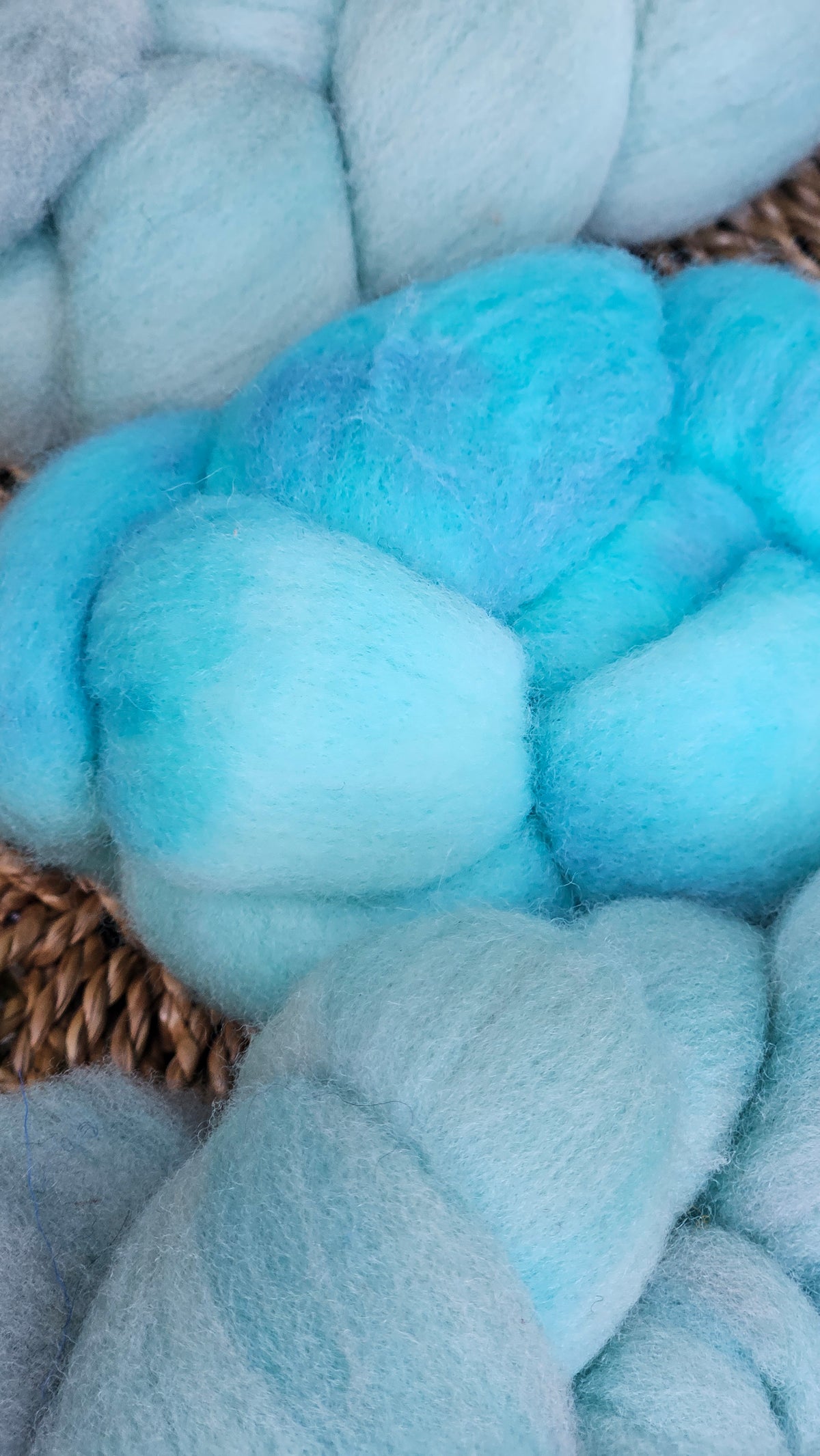 Everglades - hand dyed fine wool roving for felting and blending - 2 ounces | 57 grams