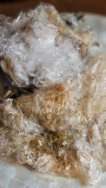BYTOWNITE - eucalyptus crimp fiber for spinning, blending & felting - 2 oz | 57 g